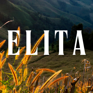 ELITA