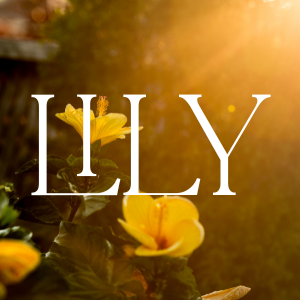 Lily